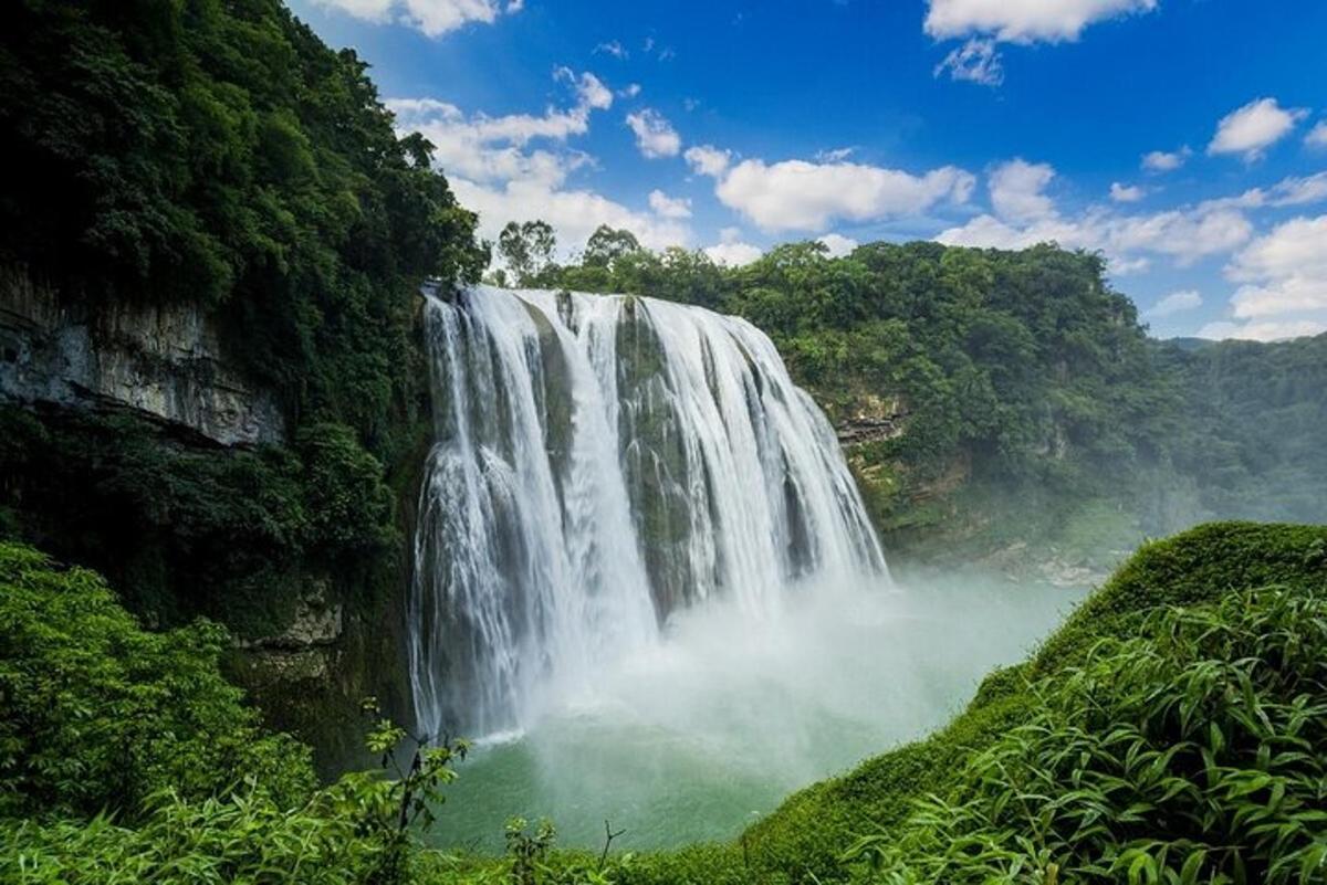 a waterfall in the middle of a forest