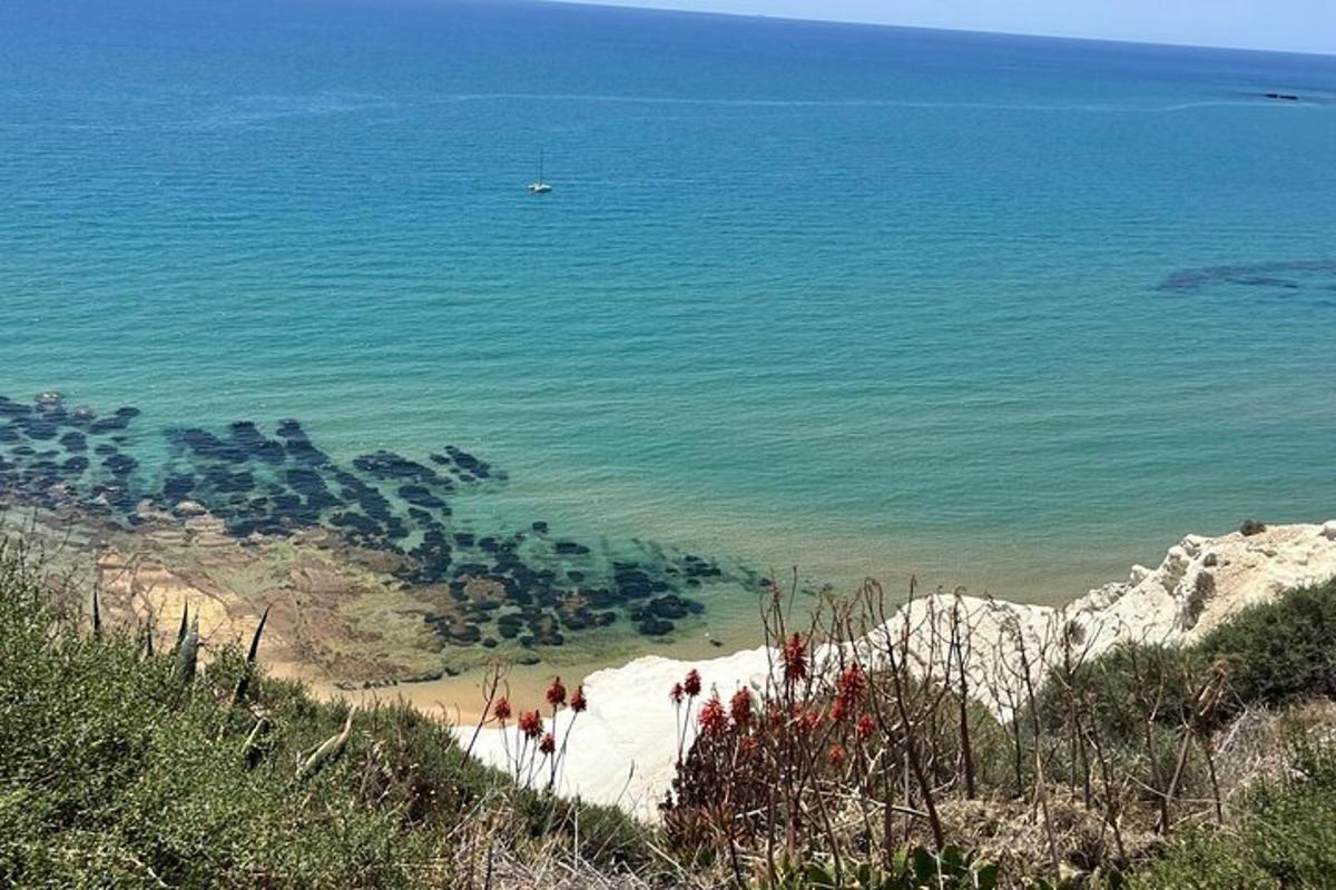 uma vista de uma praia com o oceano ao fundo