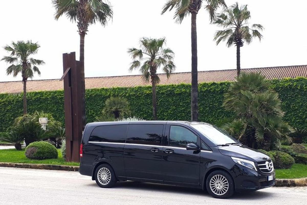 Una camioneta negra estacionada en un estacionamiento con palmeras