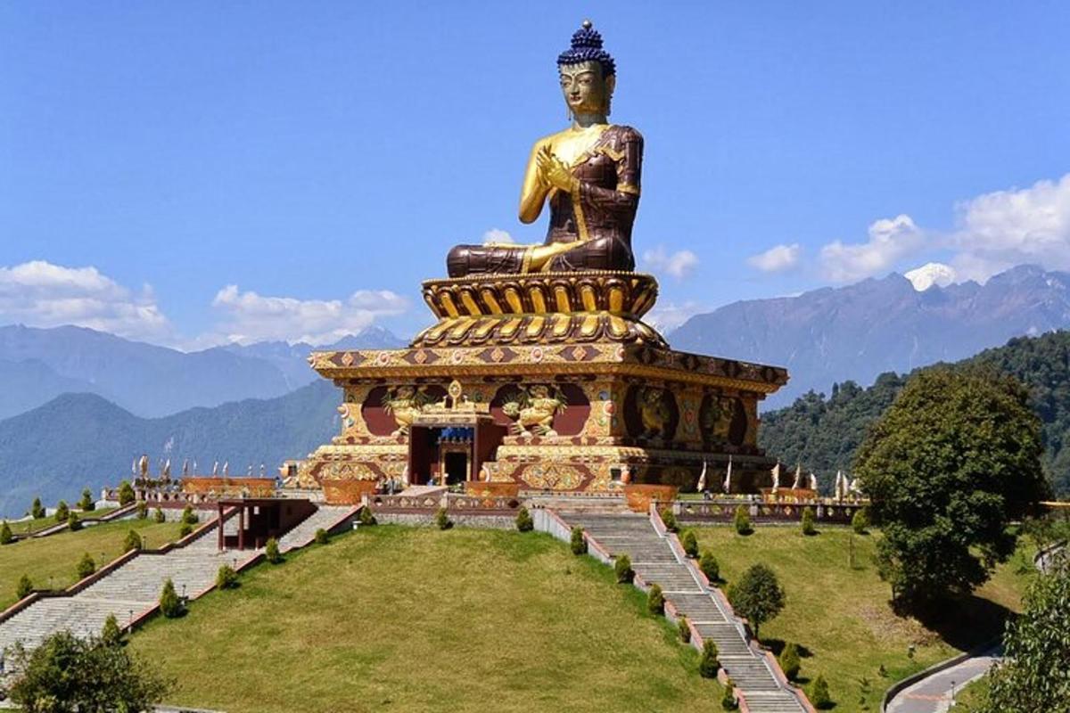 a large statue in a field with mountains in the background