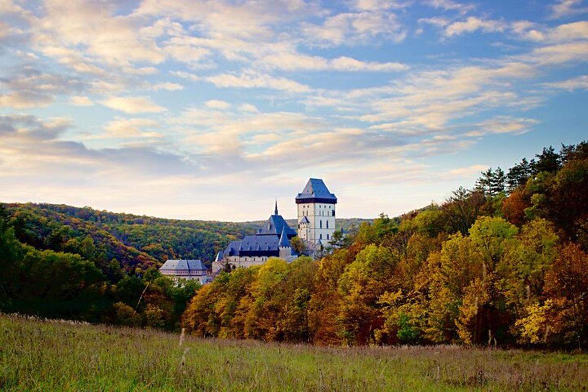 hrad na vrcholu kopce se stromy
