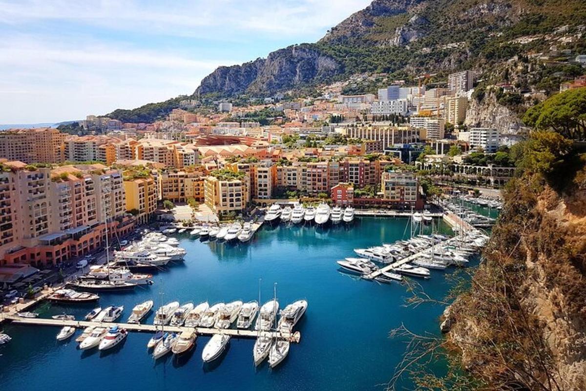a bunch of boats are docked in a harbor