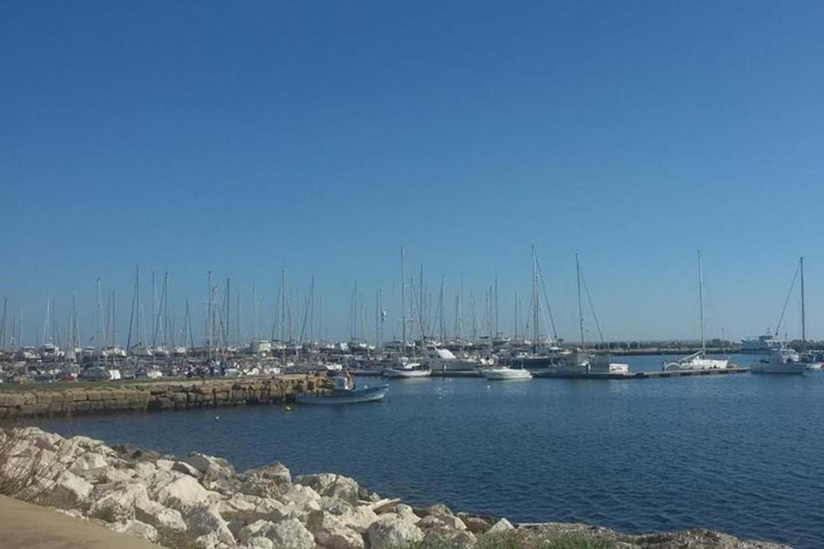 un gruppo di barche è attraccato in un porto
