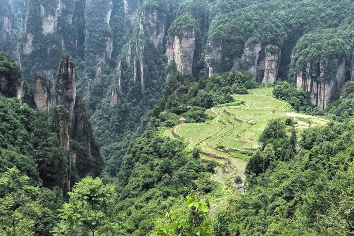 a view of a mountain valley with trees and mountains
