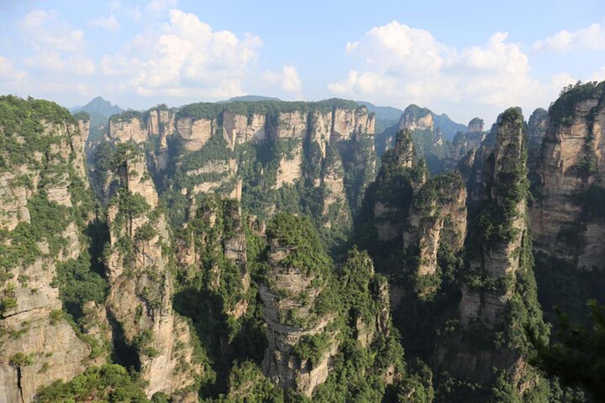 a view of a canyon with trees and rocks