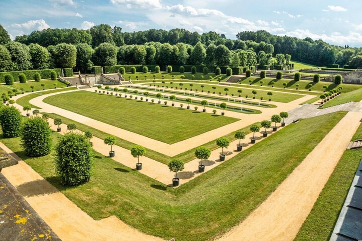 vista aèria d'un jardí amb arbres i arbustos