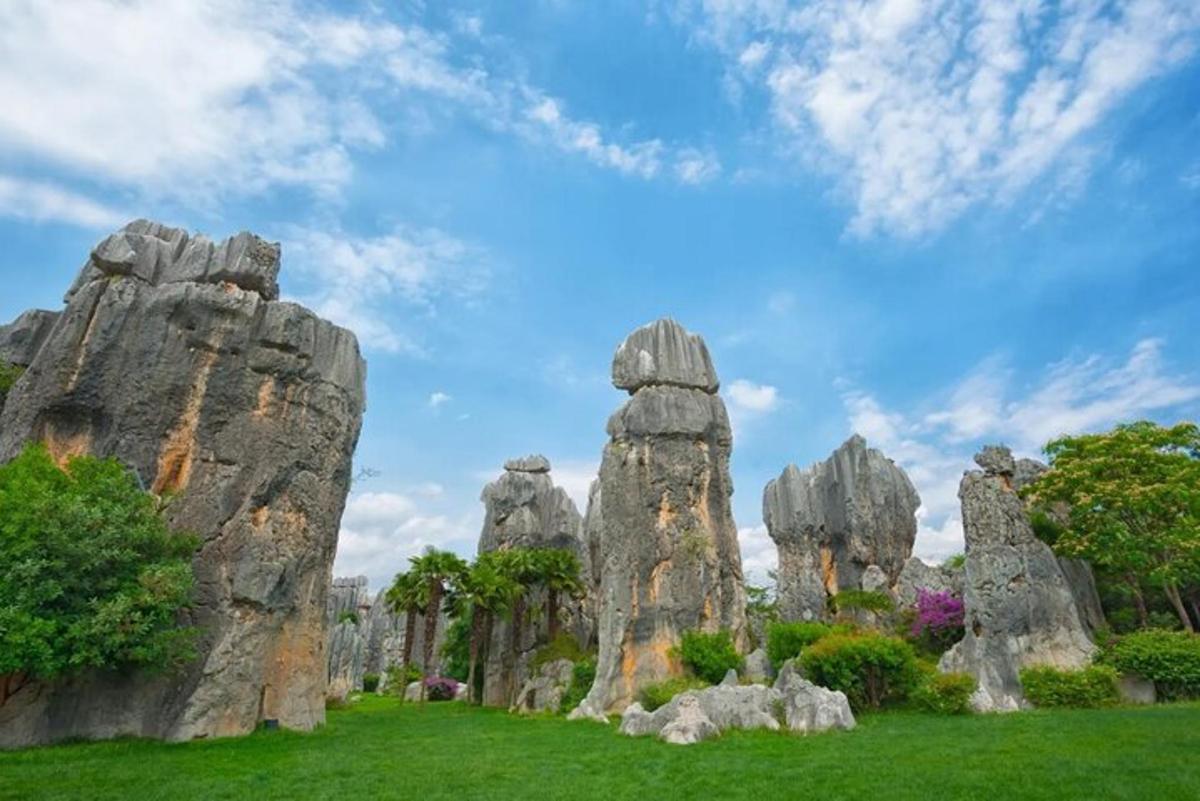 a group of large rocks in a grass field