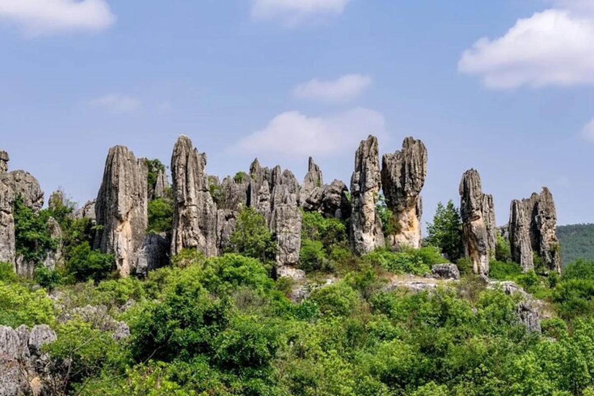 a group of rocks on a hill with trees
