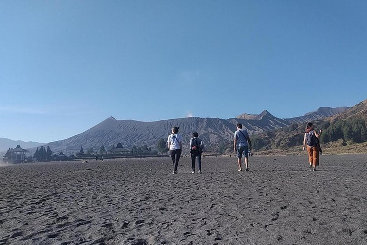 a group of people walking on the beach