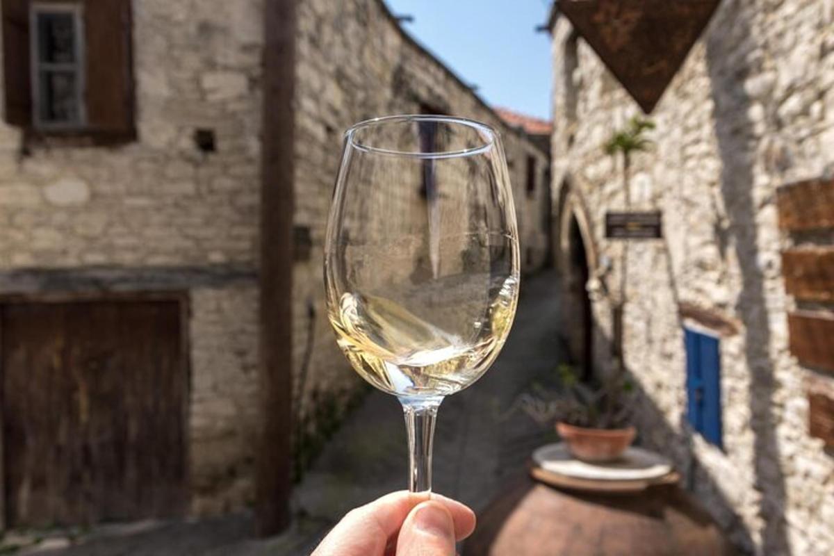 a person holding a glass of white wine