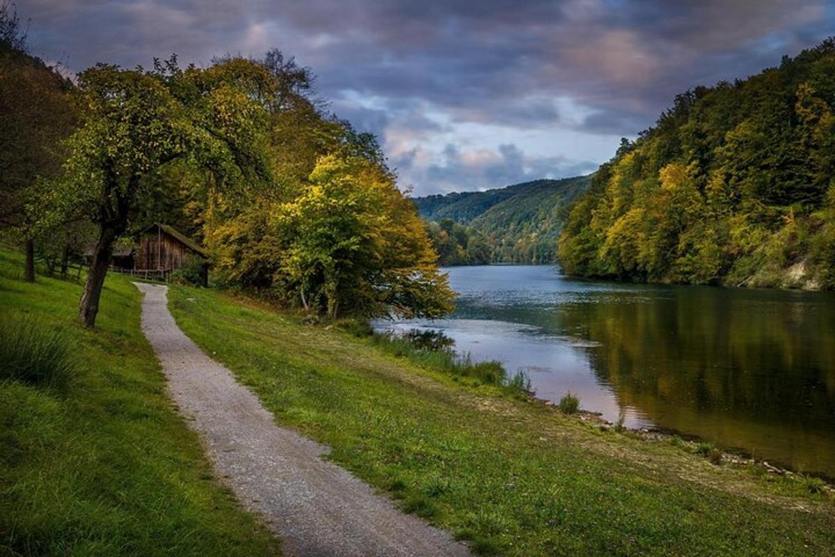 un camino al lado de un río al lado de un bosque