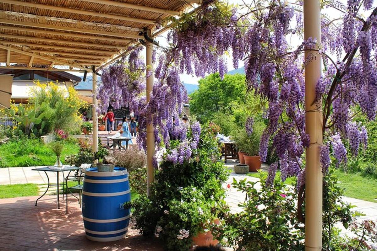 um jardim com glicínias roxas penduradas em uma pérgola