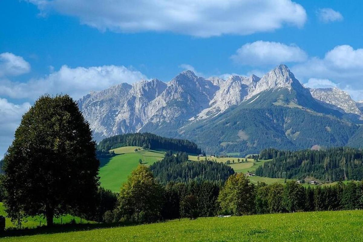 gorovje z zelenim poljem in drevesom