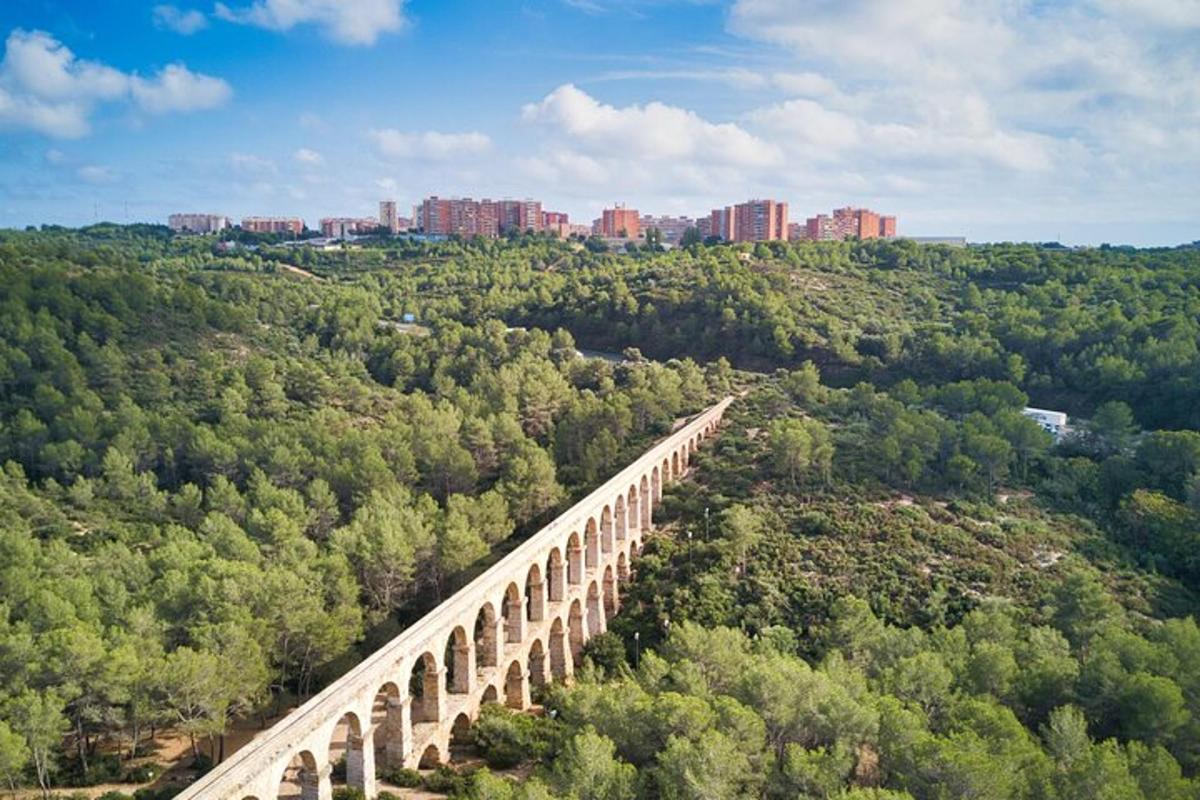 vista aèria d'un pont sobre un bosc