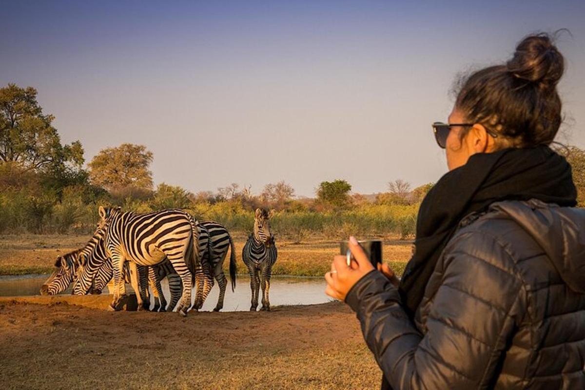 a woman taking a picture of zebras at the water