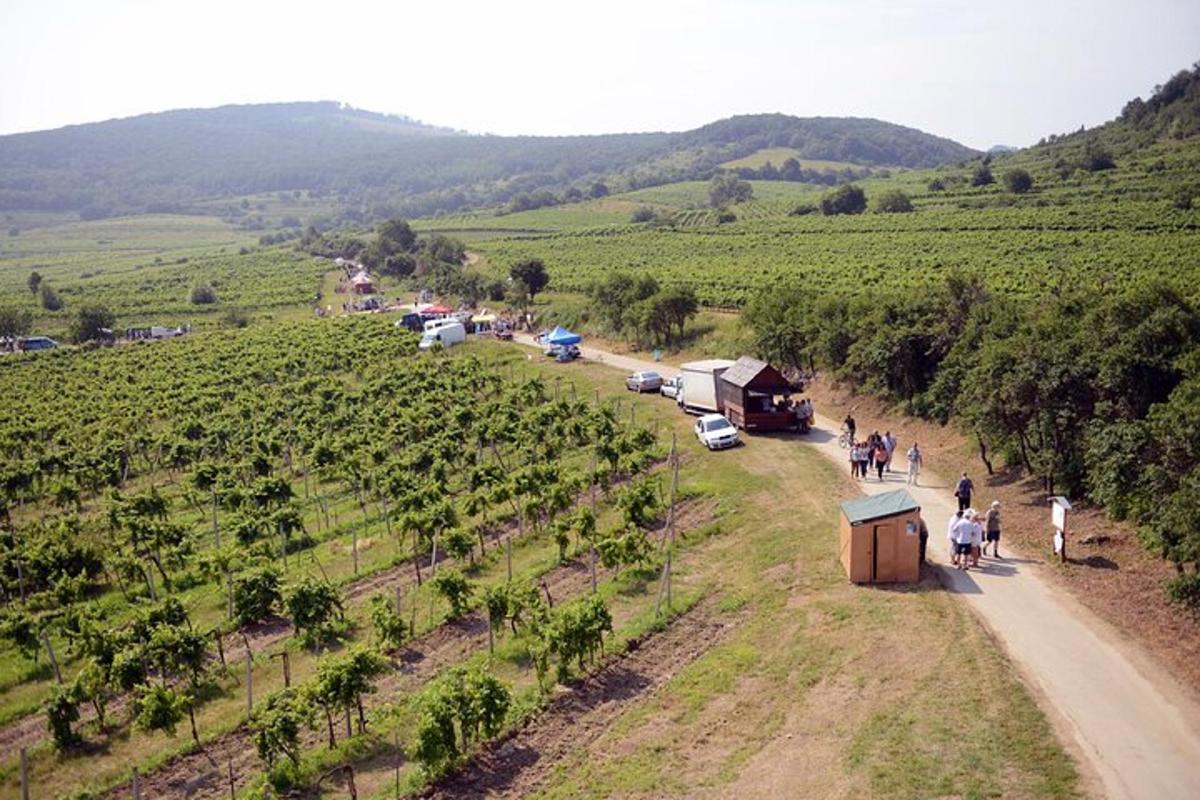 a group of people walking down a dirt road in a field