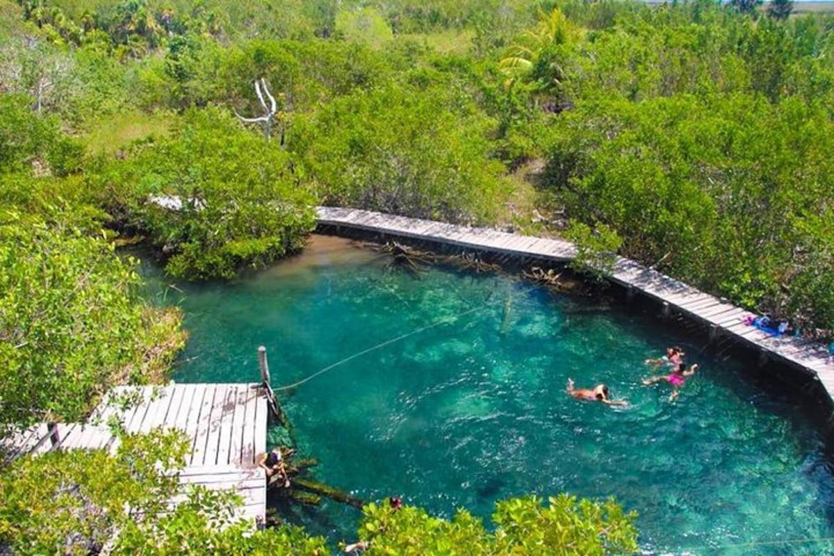 ein Wasserbecken, in dem zwei Menschen schwimmen