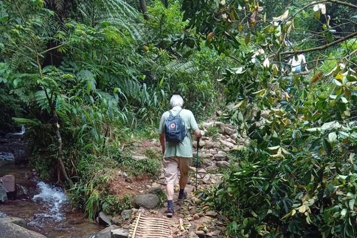 a man walking down a trail in the jungle