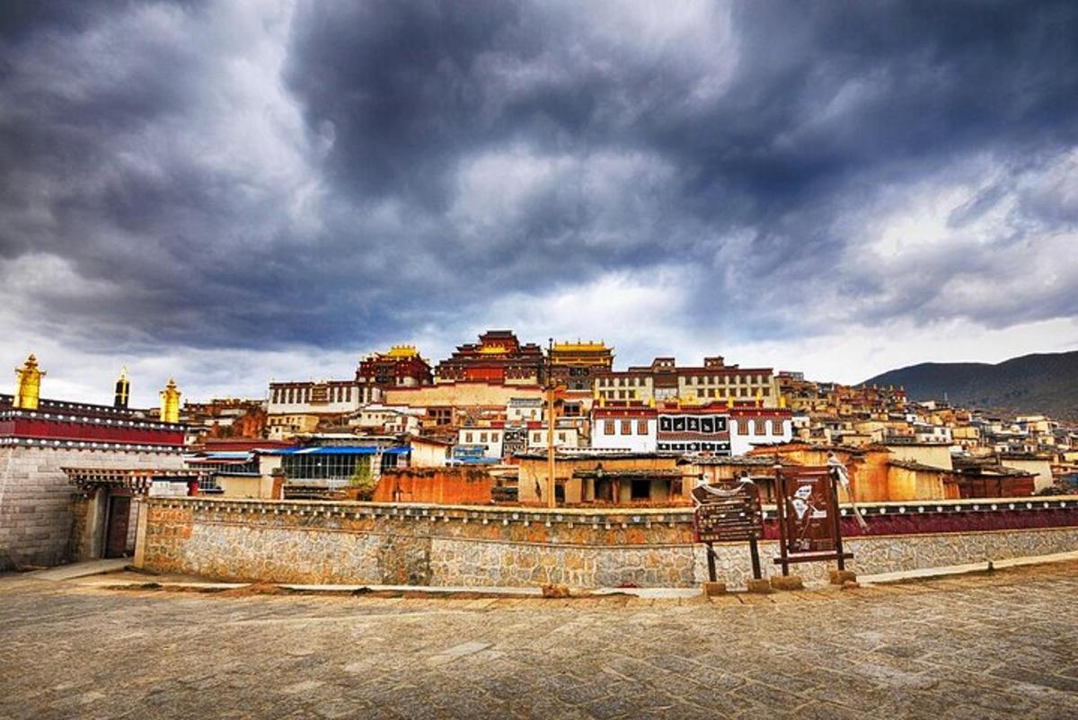 a view of a city with buildings on a hill