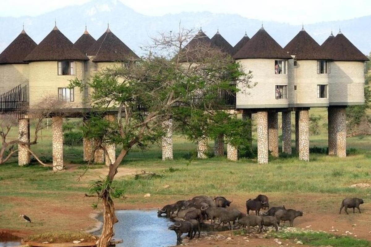 sekumpulan gajah di hadapan sebuah bangunan