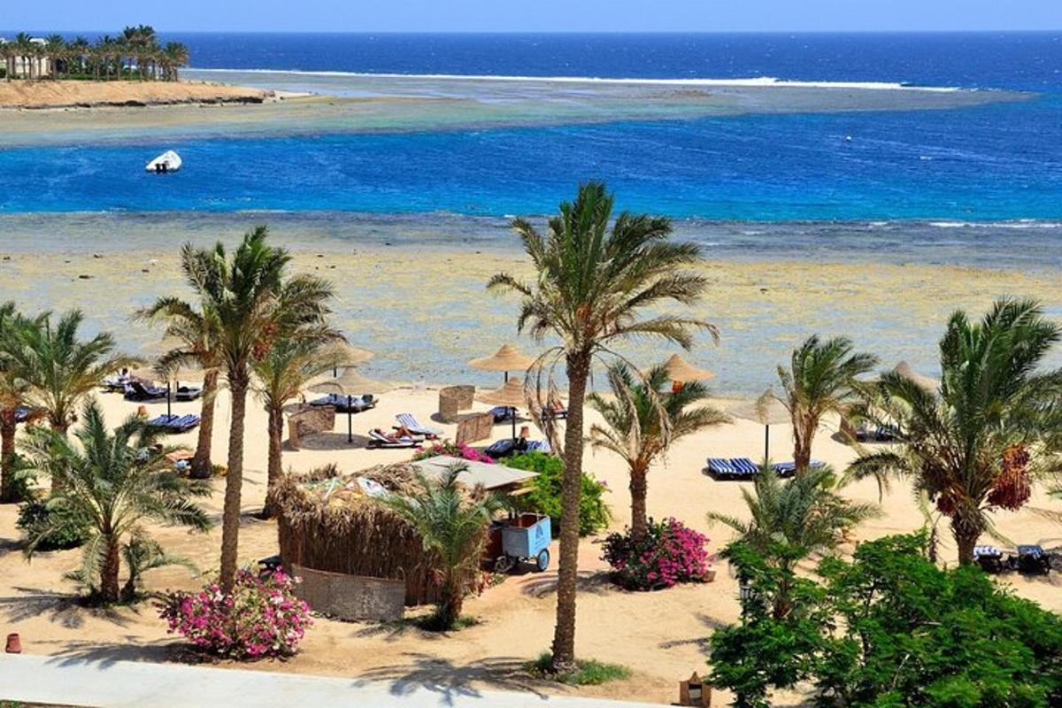 isang aerial view ng beach na may mga palm tree at karagatan
