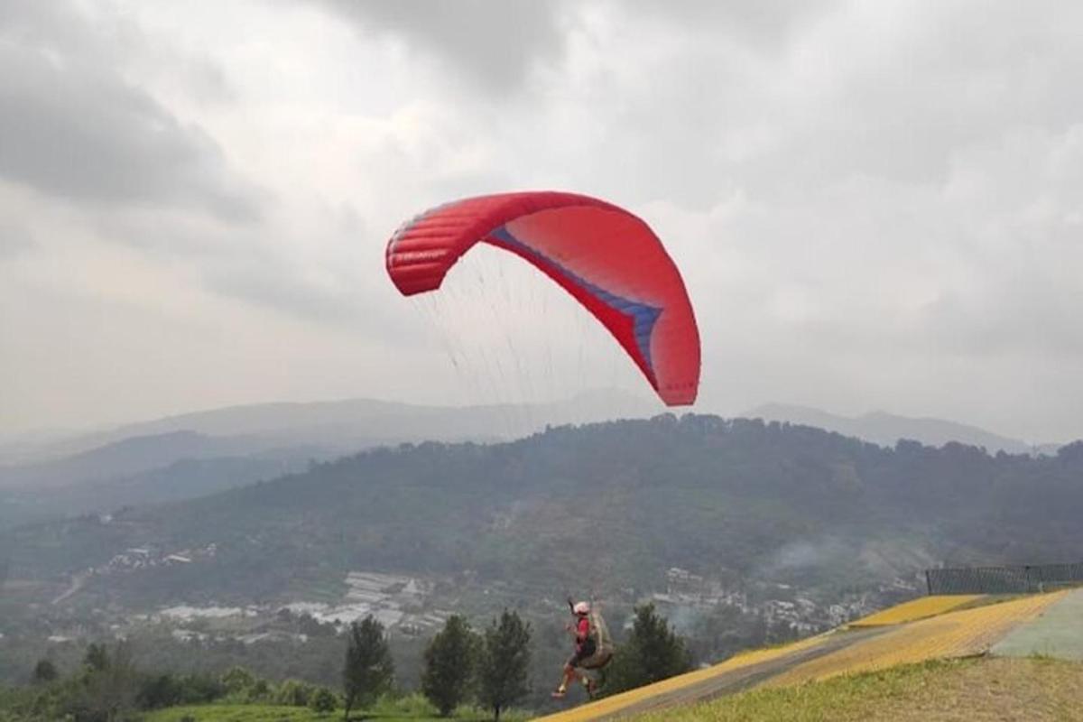 a person flying a kite on top of a hill