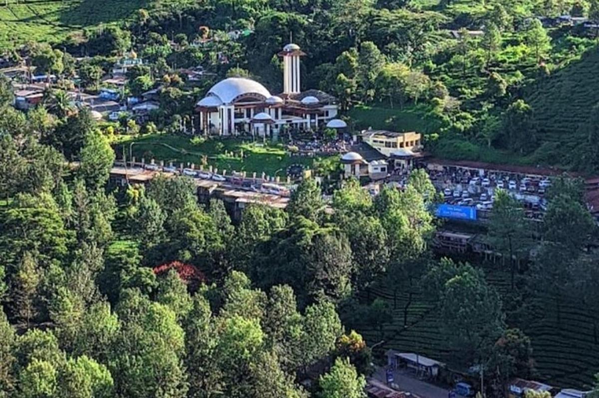 an aerial view of a resort in the middle of a forest