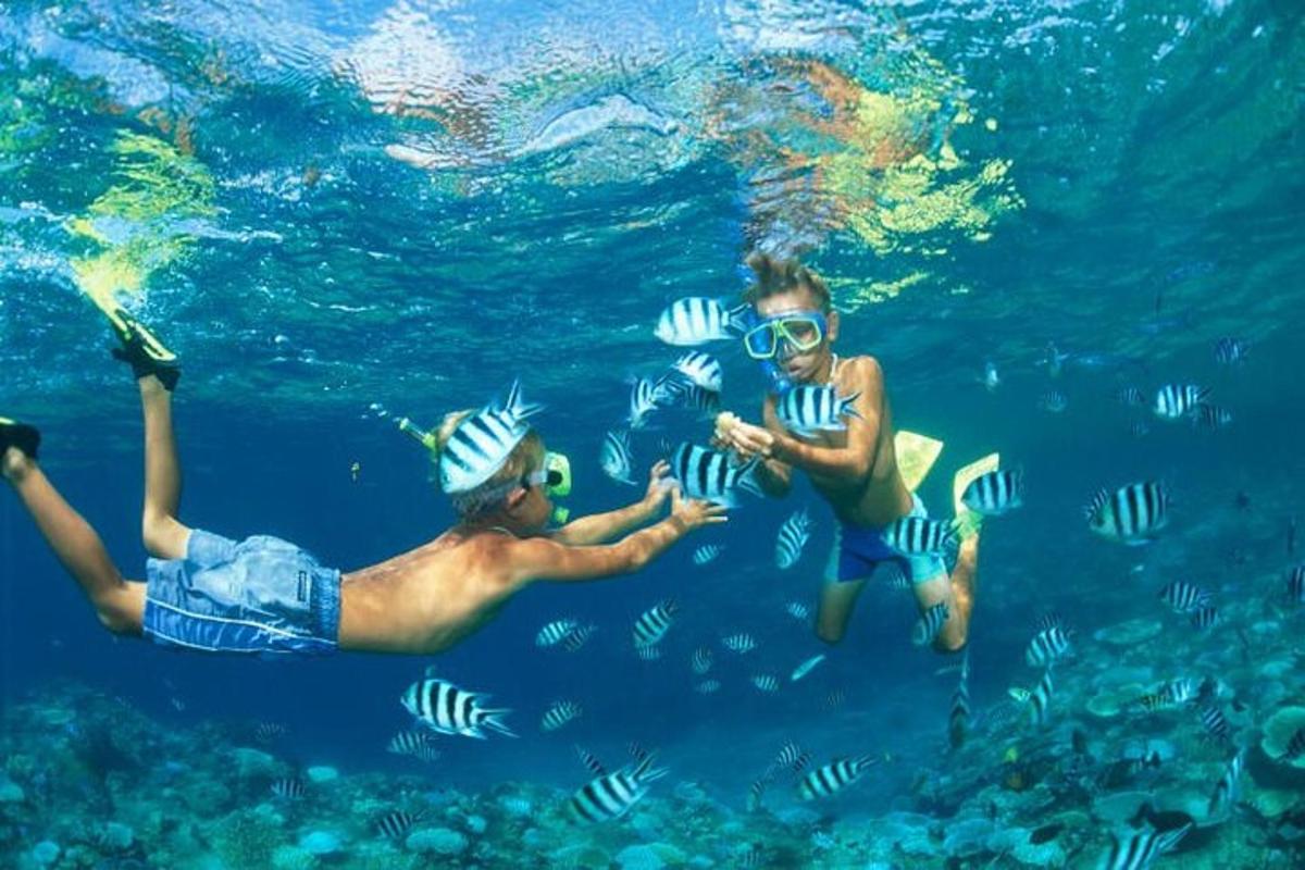 zwei Menschen schwimmen mit Fischen im Wasser