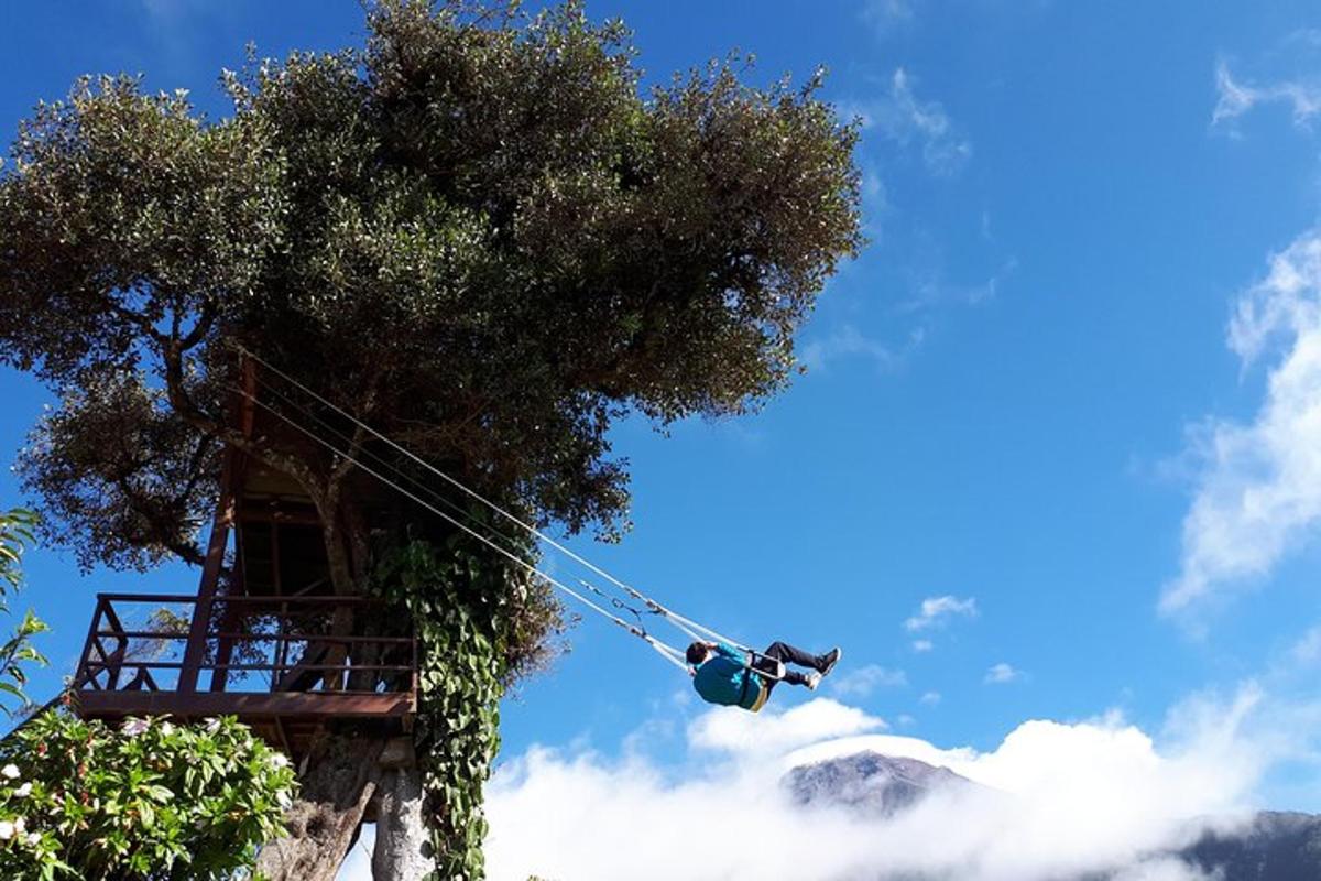 a traffic light in front of a tree