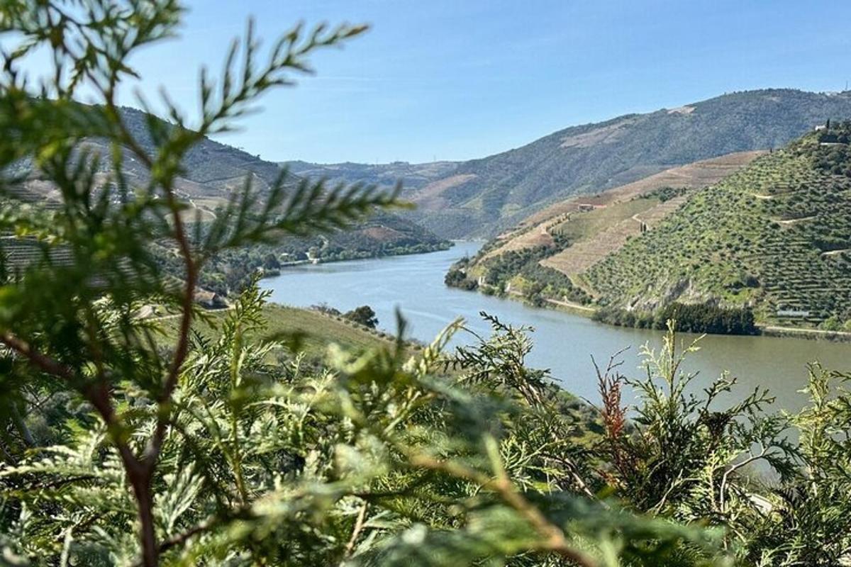 una vista di un fiume con le montagne sullo sfondo