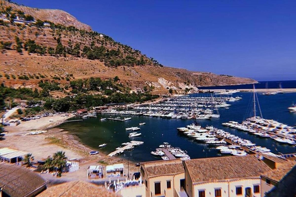 un grup de bărci acostate într-un port