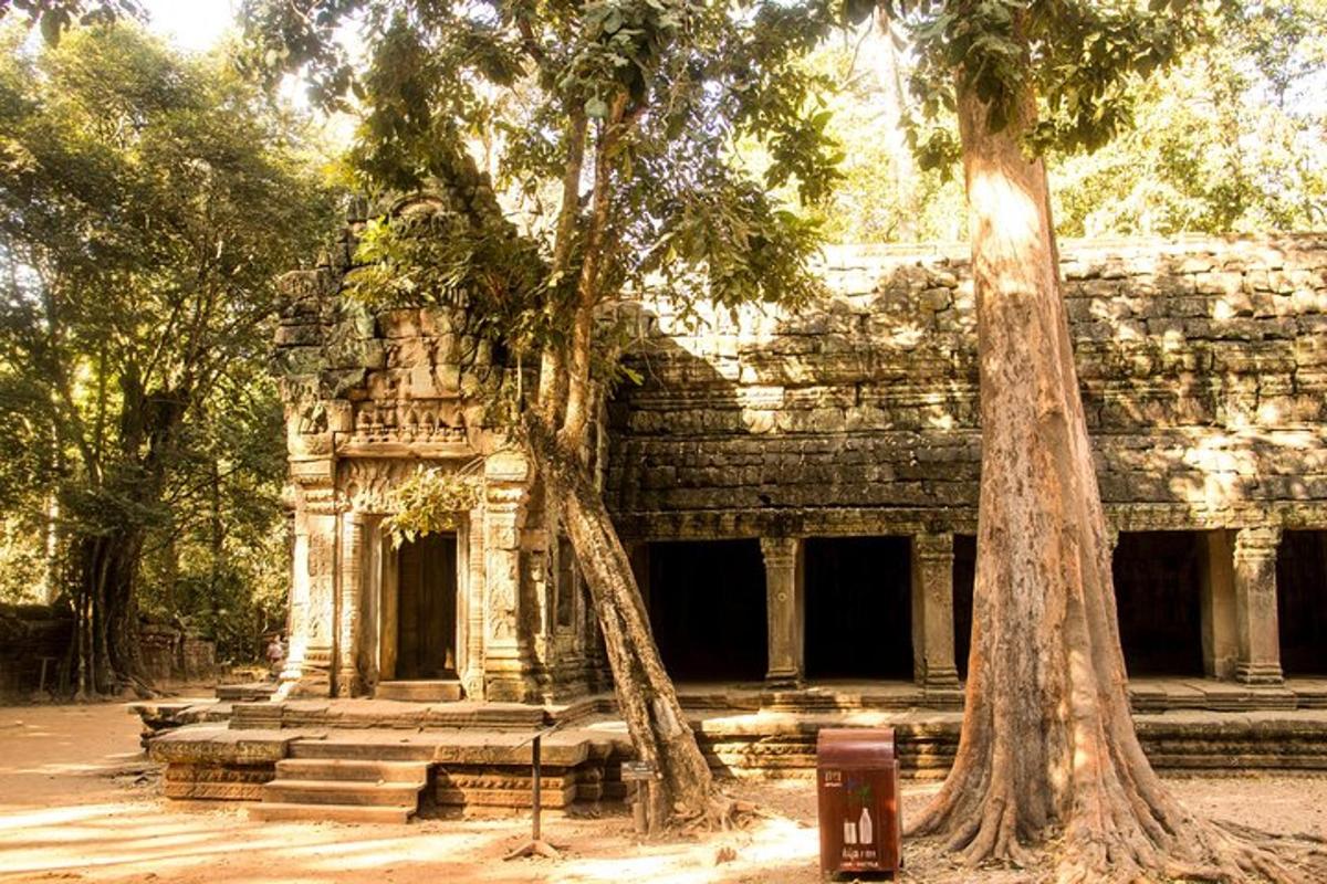 un edifici amb dos arbres al davant