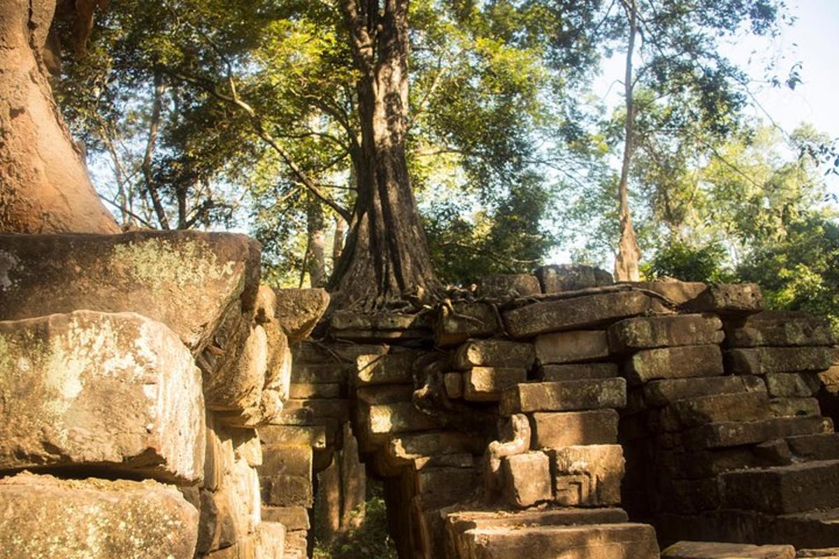 a stone wall with a tree in the background