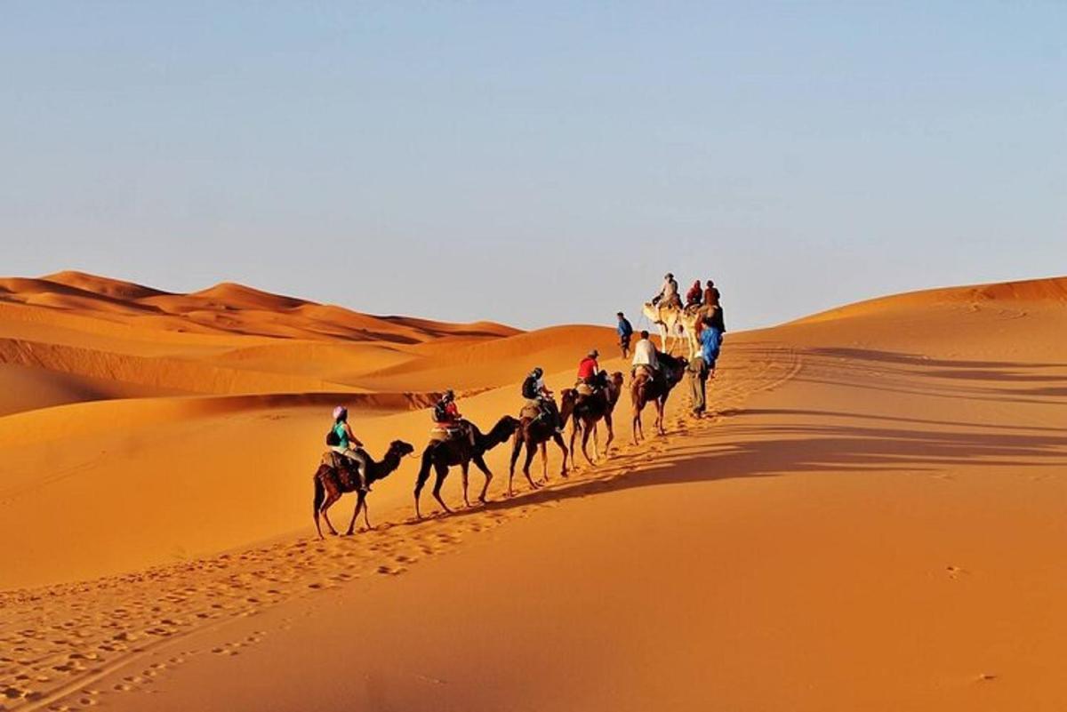 un gruppo di persone a cavallo di cammelli nel deserto
