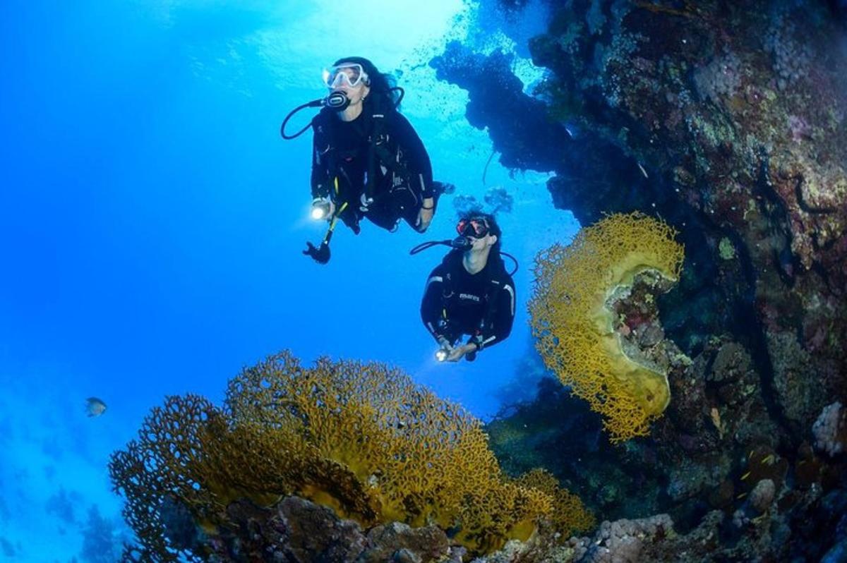 dve osebi plavata v oceanu blizu grebena