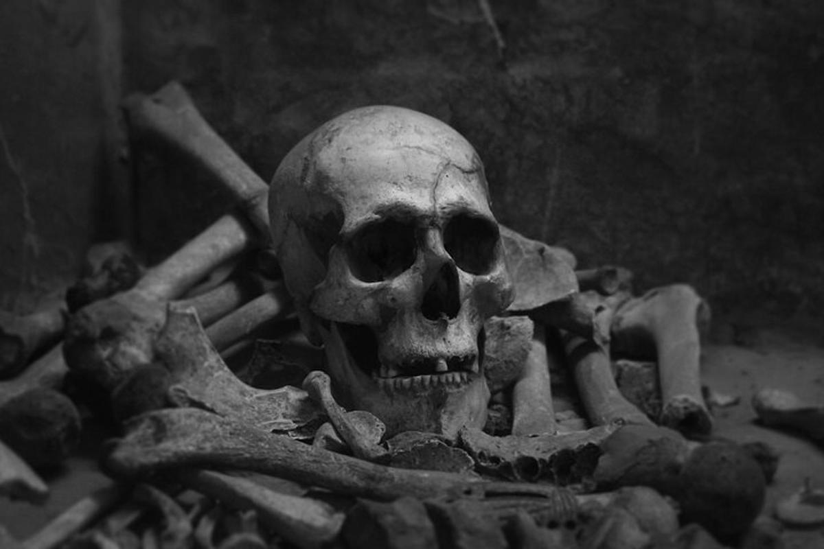 a skull and bones on the floor of a room