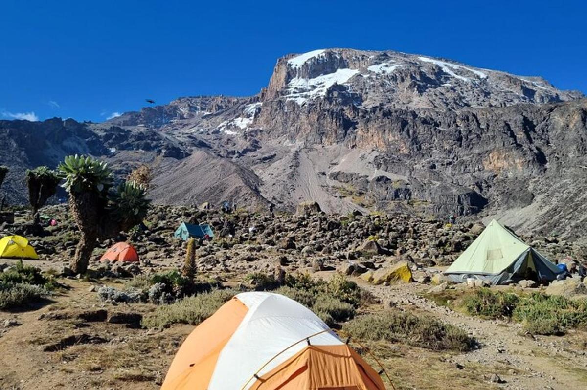 sekumpulan khemah di hadapan gunung