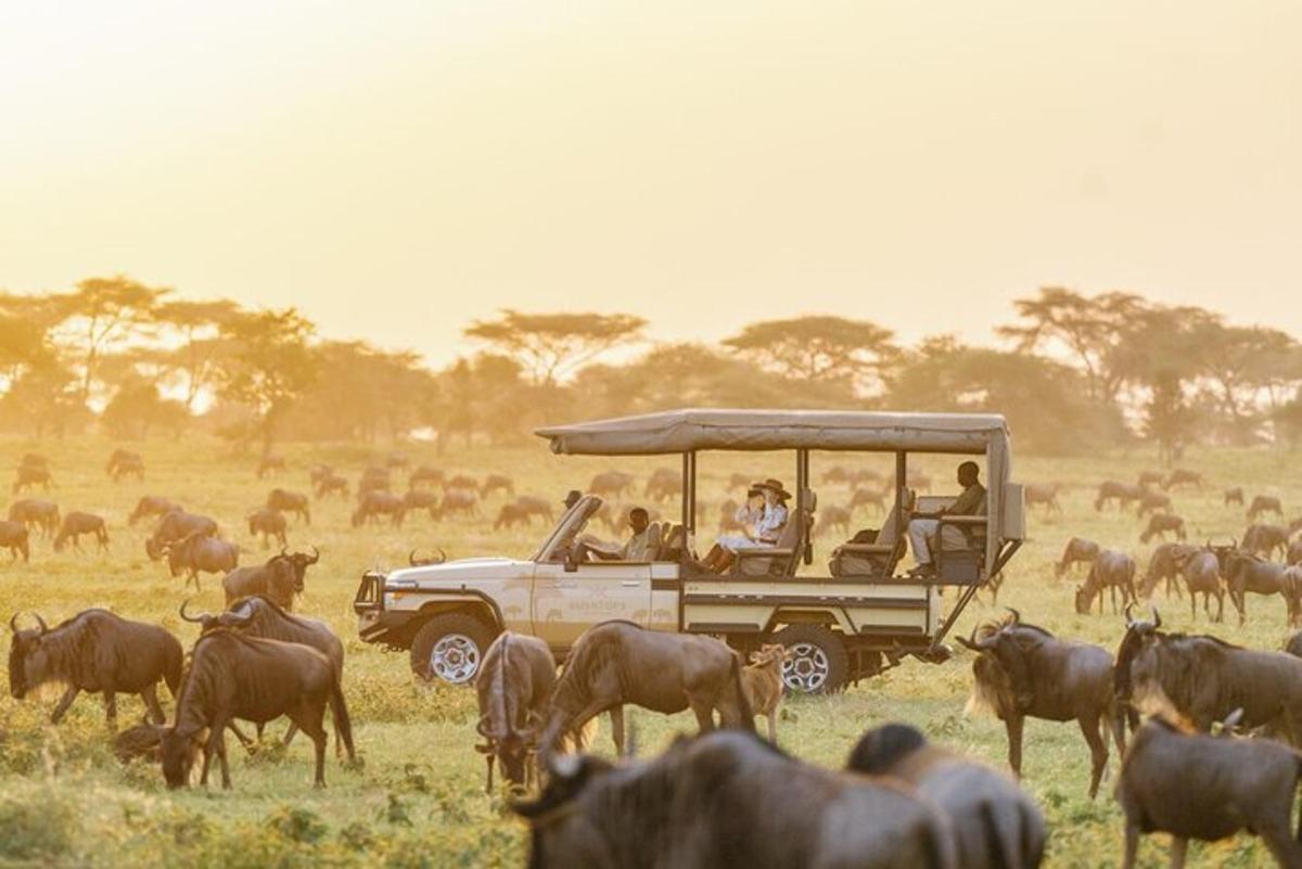 un grup de persones en un vehicle de safari en un camp amb animals
