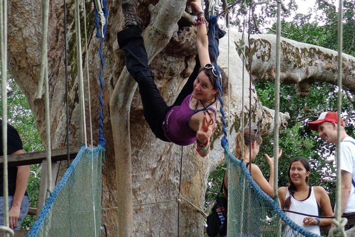 una dona està escalant un rocòdrom