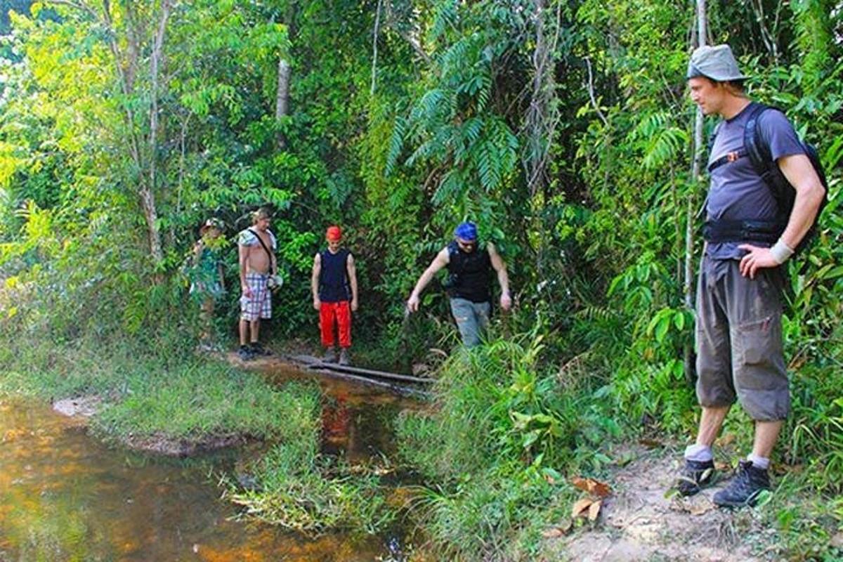 un gruppo di persone che attraversa un ruscello nella foresta