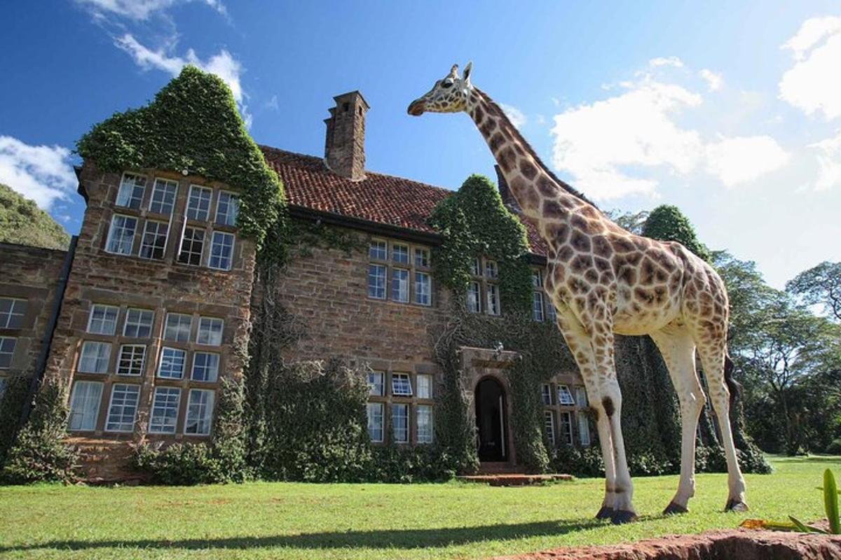 eine Giraffe steht vor einem Gebäude