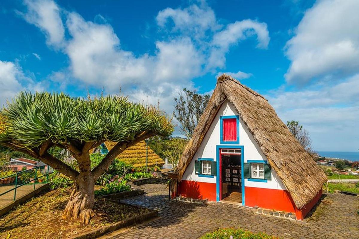 una piccola casa con il tetto di paglia accanto a un albero