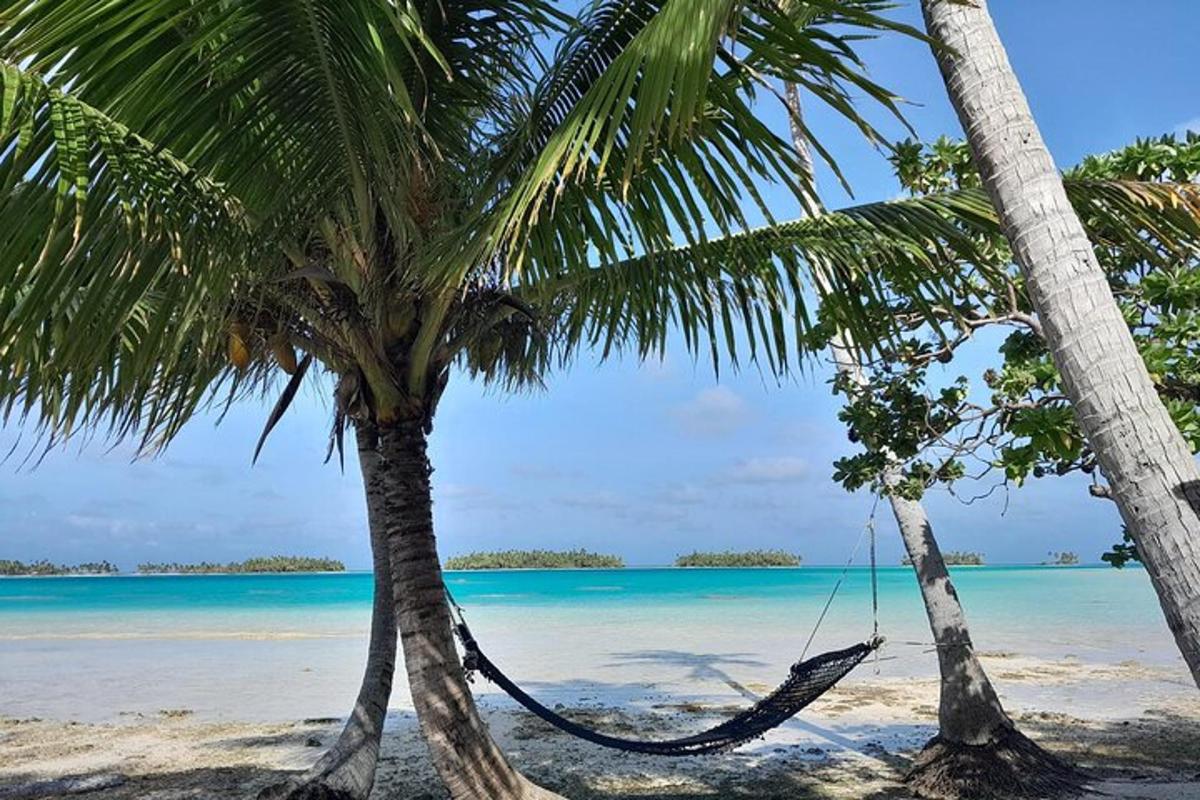 two palm trees with a hammock between them on a beach