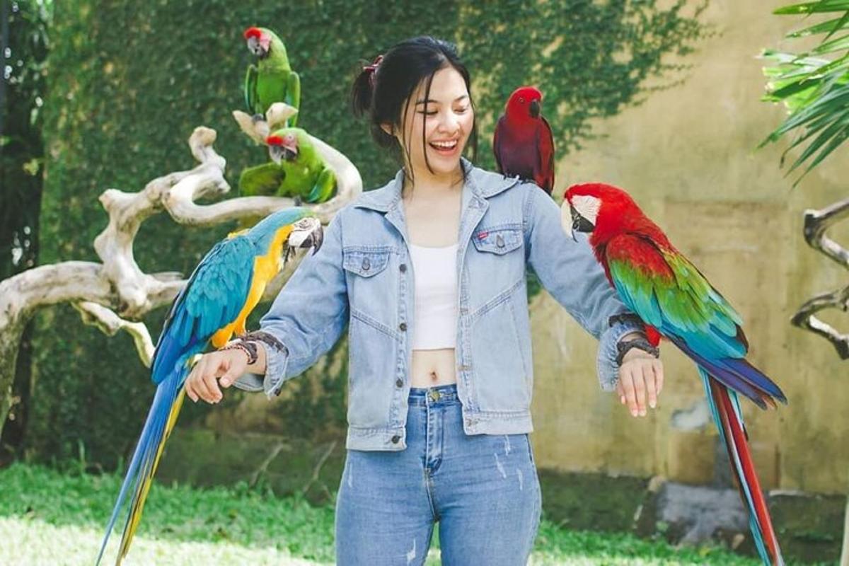 seorang wanita dengan empat burung kakak tua di lengannya