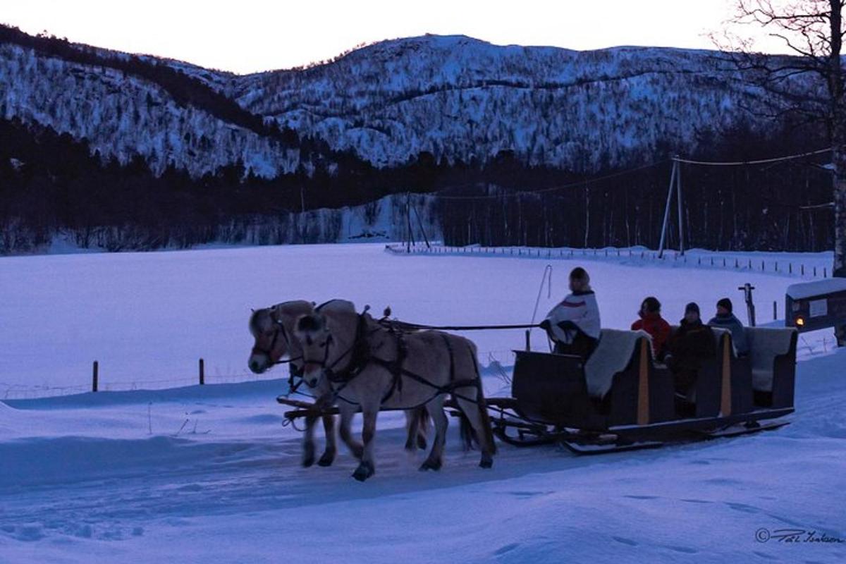 a horse drawn carriage with people on it in the snow