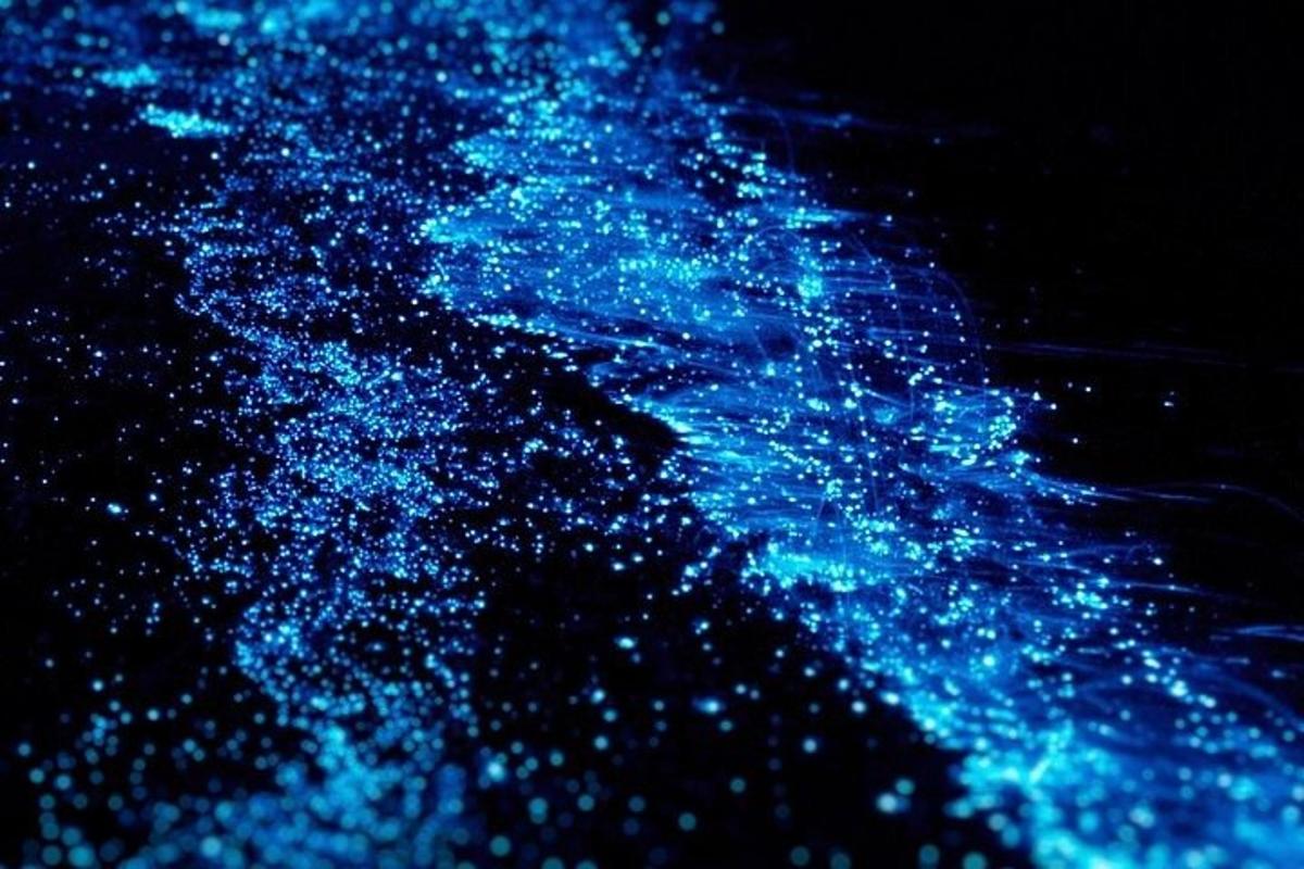 un mucchio di luci blu nell'acqua