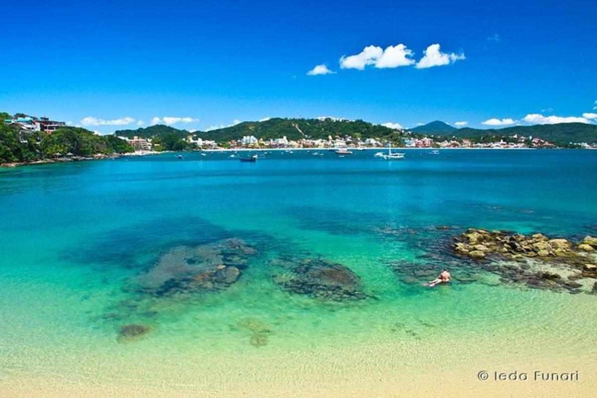 a person swimming in the water near a beach