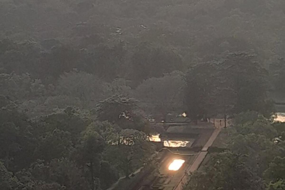 pemandangan malam jalan di dalam hutan