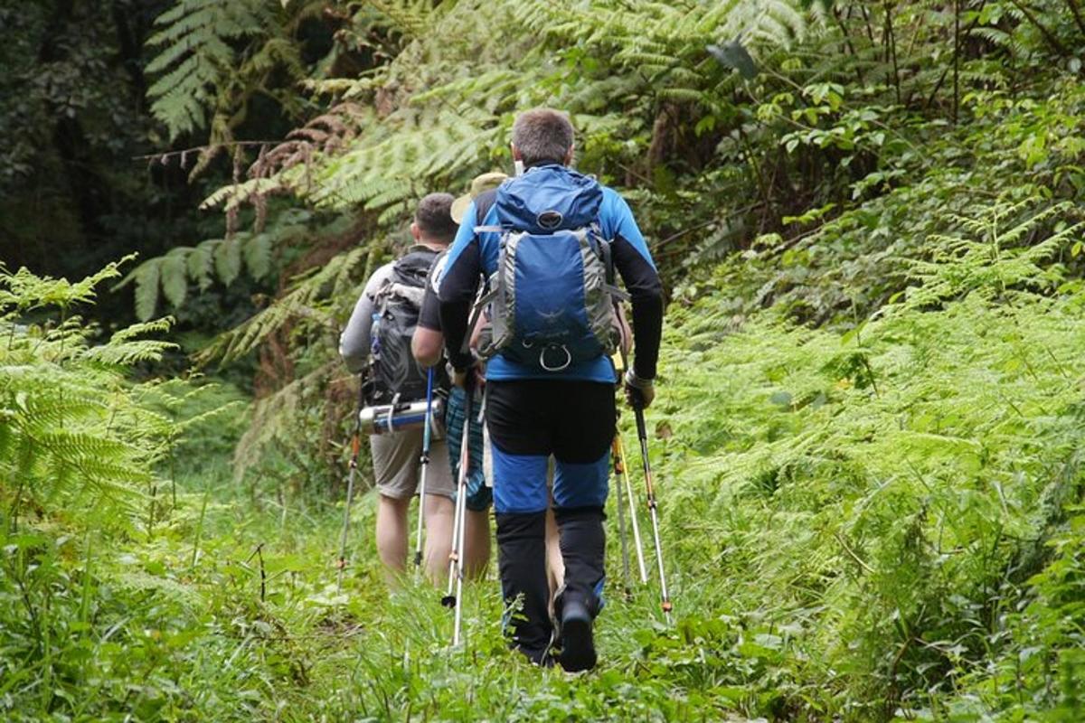 un gruppo di persone che camminano lungo un sentiero