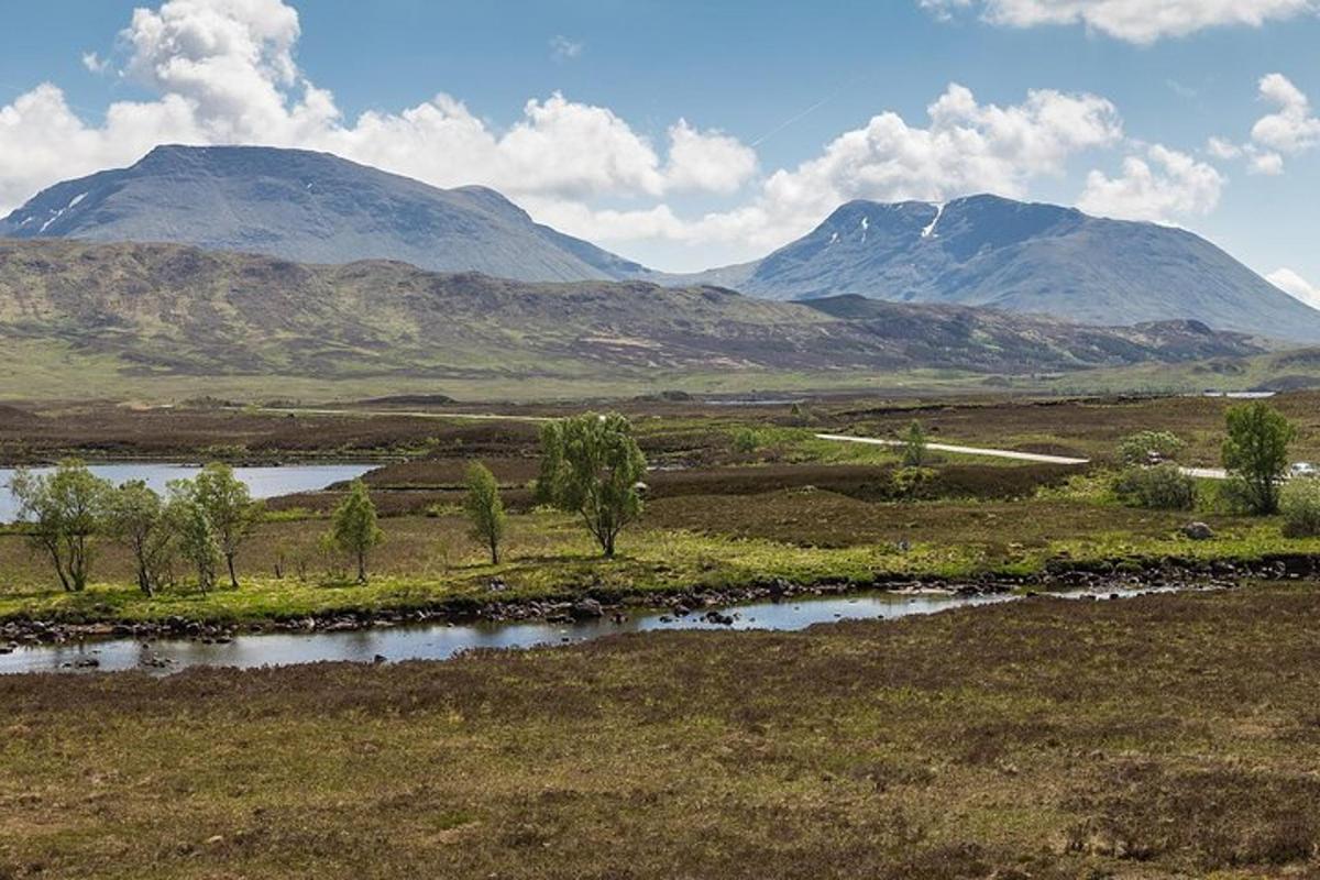 Un campo con árboles y montañas al fondo
